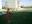 Капинос Алисия