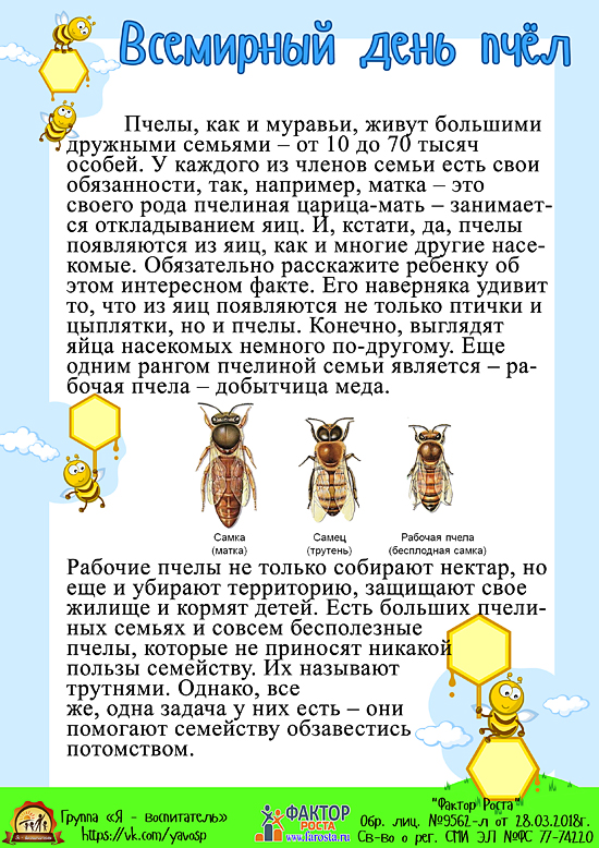 День пчелы
